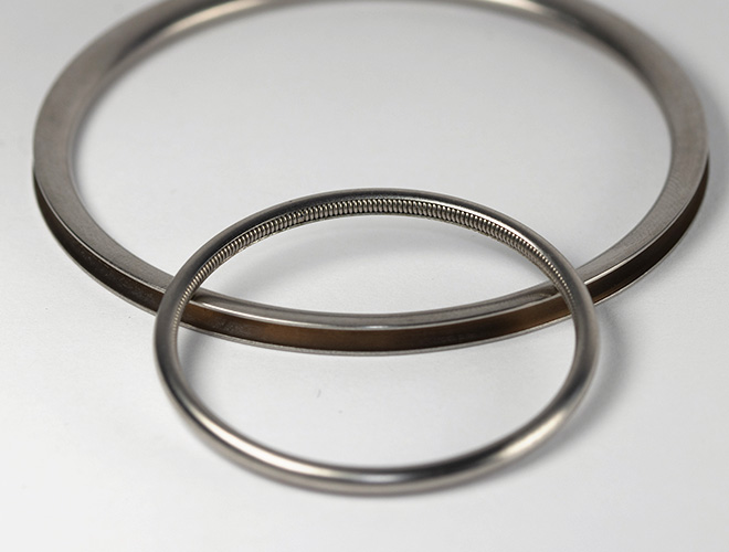 normal metal c-ring and spring energized ring