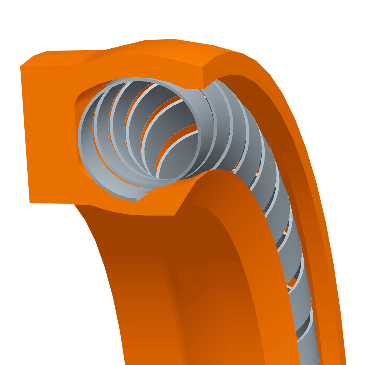 Spring Energized Lip Seals – Eurosealings